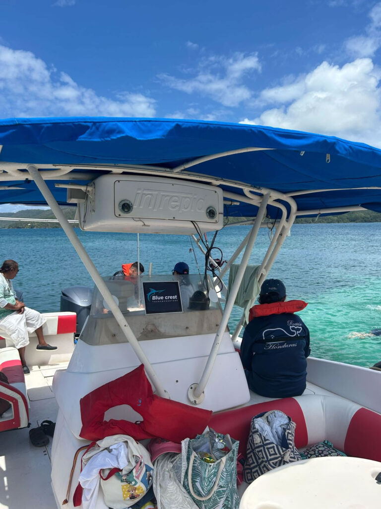 Bluecrest Roatan boat tour
